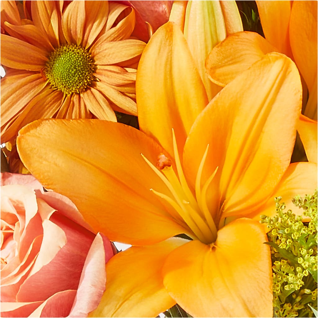 Harvest Hayride Bouquet –  Star Market, West Bridgewater MA
