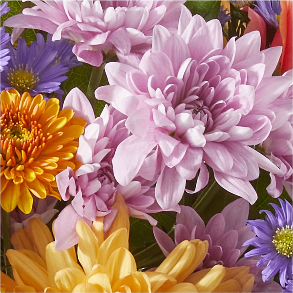 Countryside Bouquet –  Star Market, West Bridgewater MA
