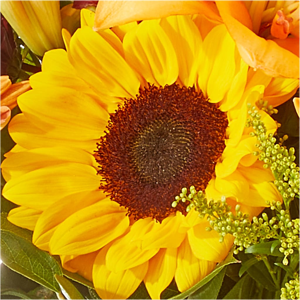 Seasons Change Bouquet –  Star Market, West Bridgewater MA