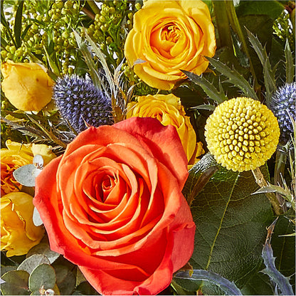 Disco Bouquet –  Star Market, West Bridgewater MA
