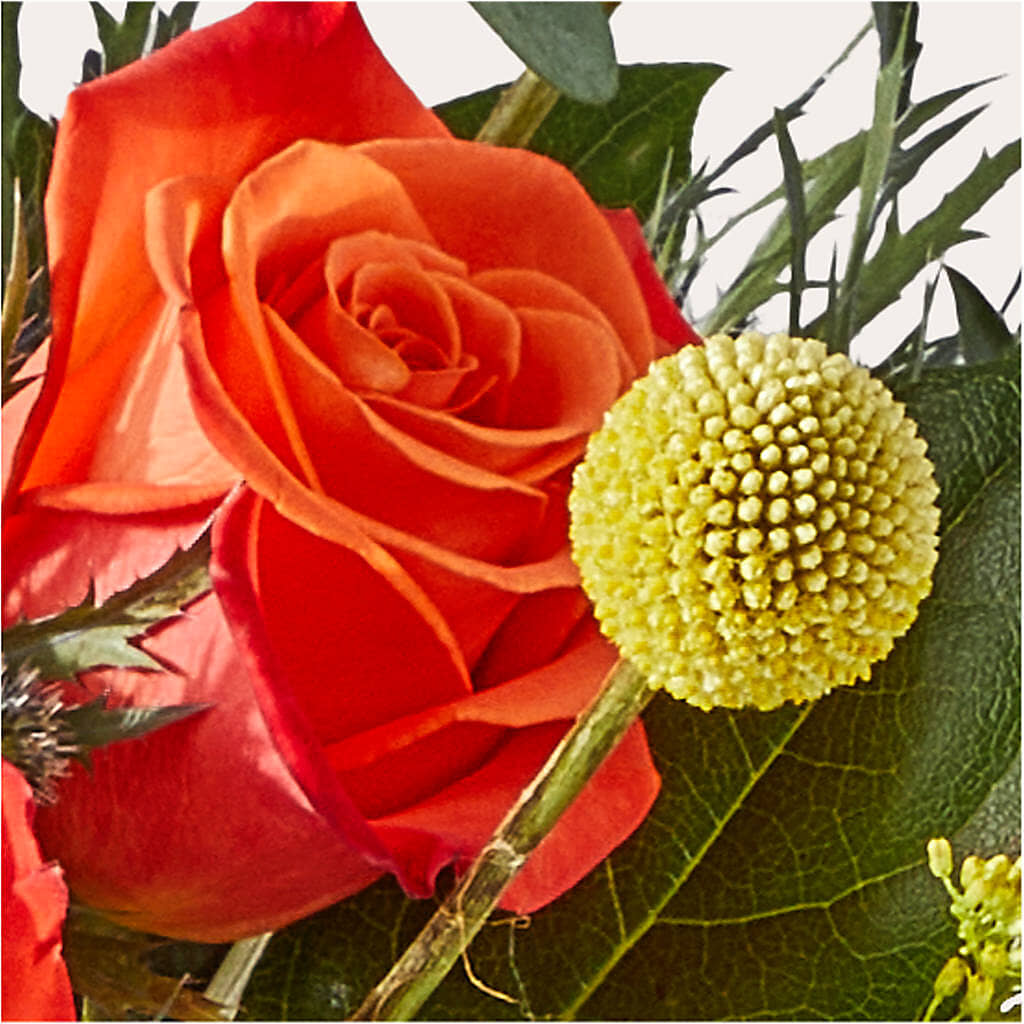Disco Bouquet –  Star Market, West Bridgewater MA