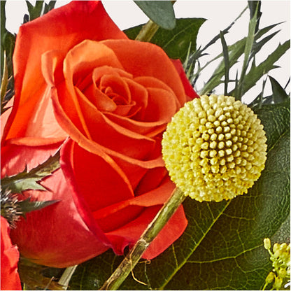 Disco Bouquet –  Star Market, West Bridgewater MA