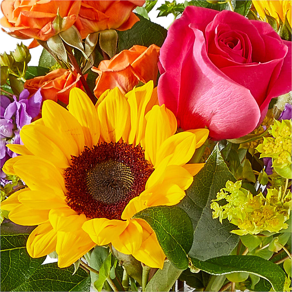 Vibrant Greetings Bouquet –  Star Market, West Bridgewater MA