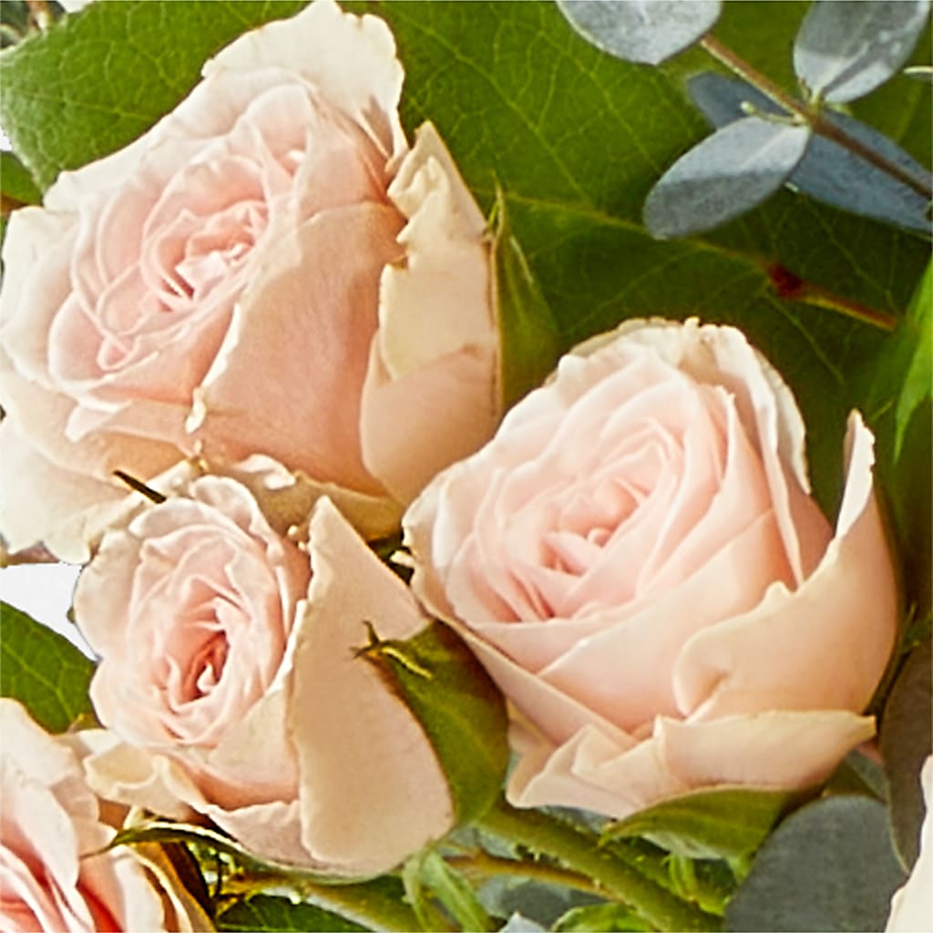 Inspired Bouquet –  Star Market, West Bridgewater MA