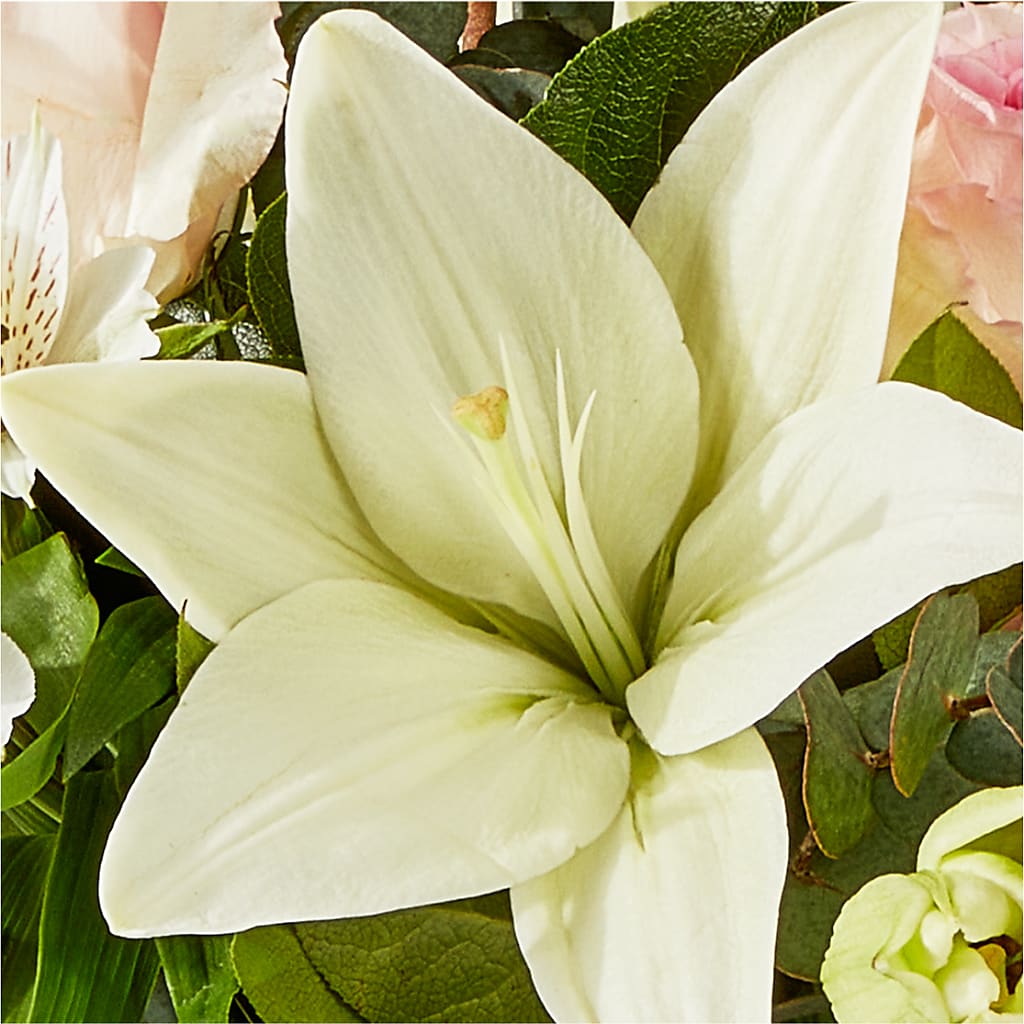 Ballet Slippers Bouquet –  Star Market, West Bridgewater MA