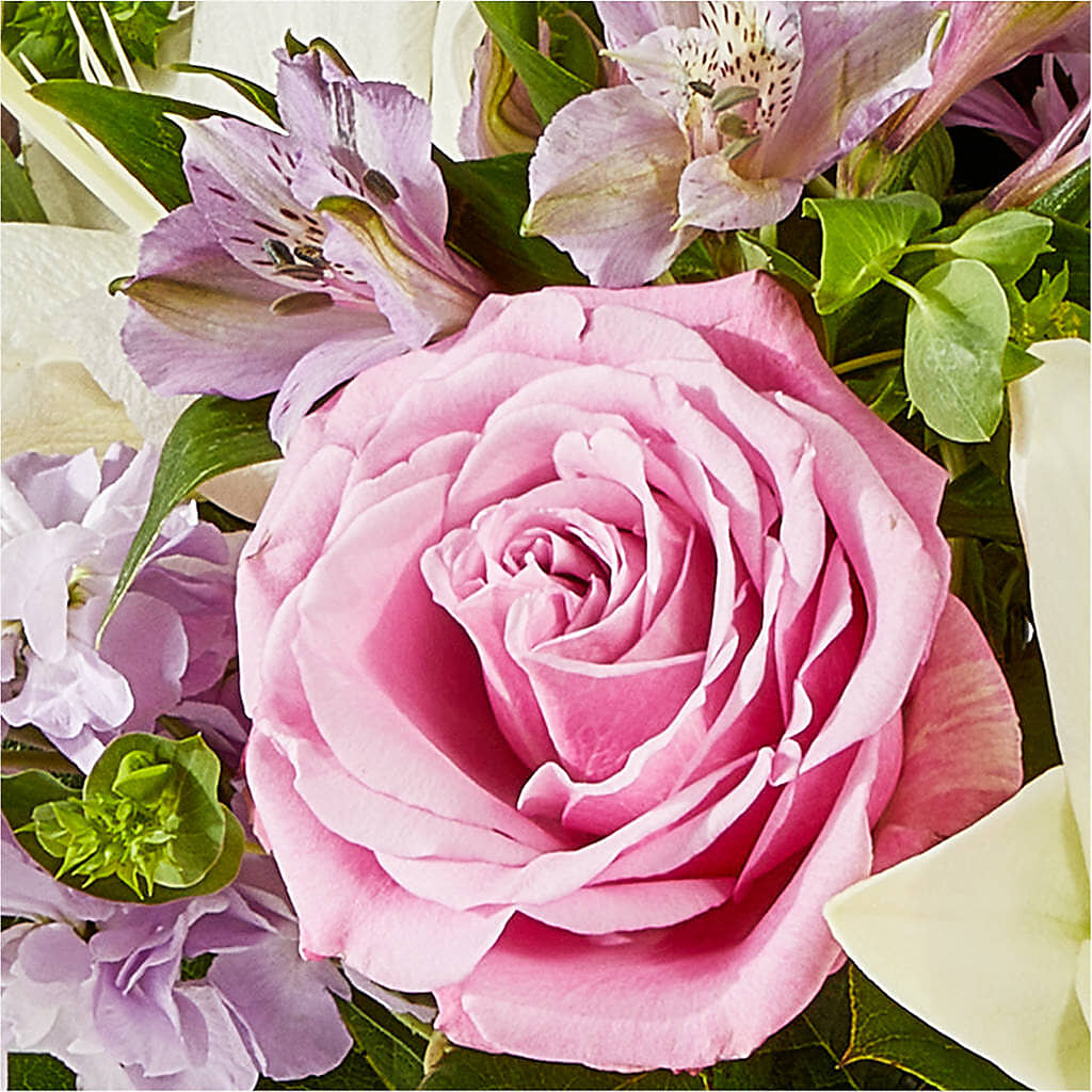 Daydreamer Bouquet –  Star Market, West Bridgewater MA
