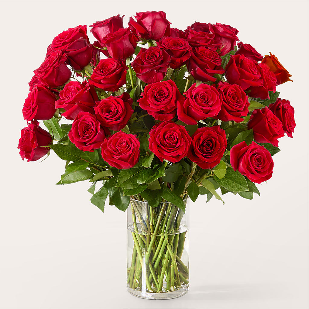 The One Red Rose Bouquet –  Star Market, West Bridgewater MA