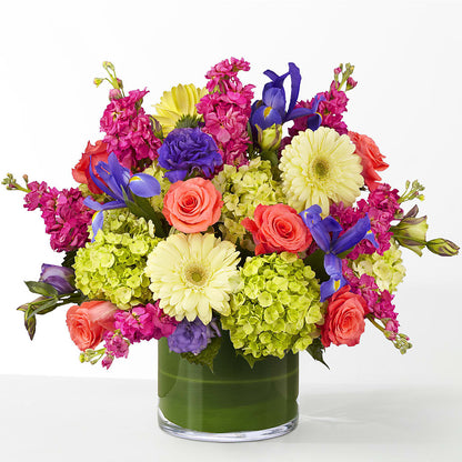 The Couture –  Star Market, West Bridgewater MA