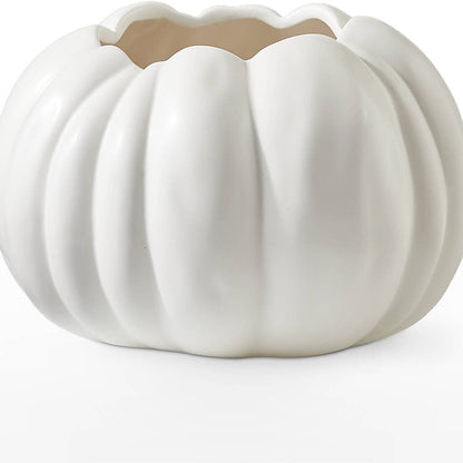 Pumpkin to Talk About Bouquet –  Star Market, West Bridgewater MA